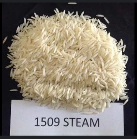 1509 Steam